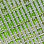 寶晶能源 全臺首座農電共生示範案場｜綠能工程空拍紀錄片