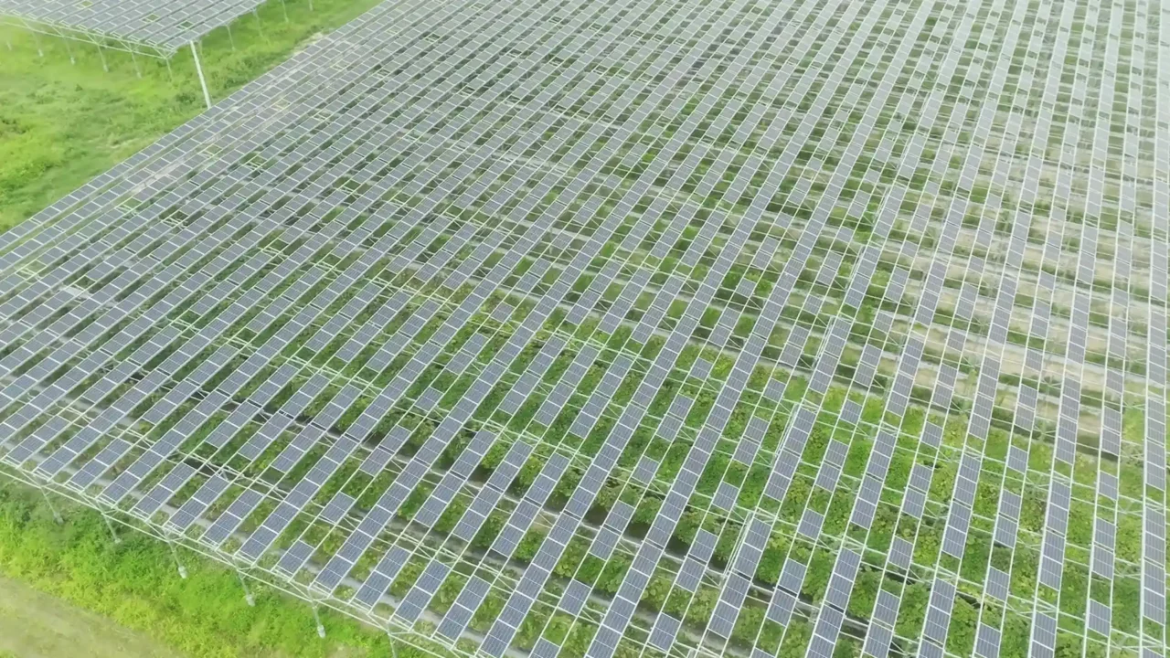 寶晶能源＿全臺首座農電共生示範案場