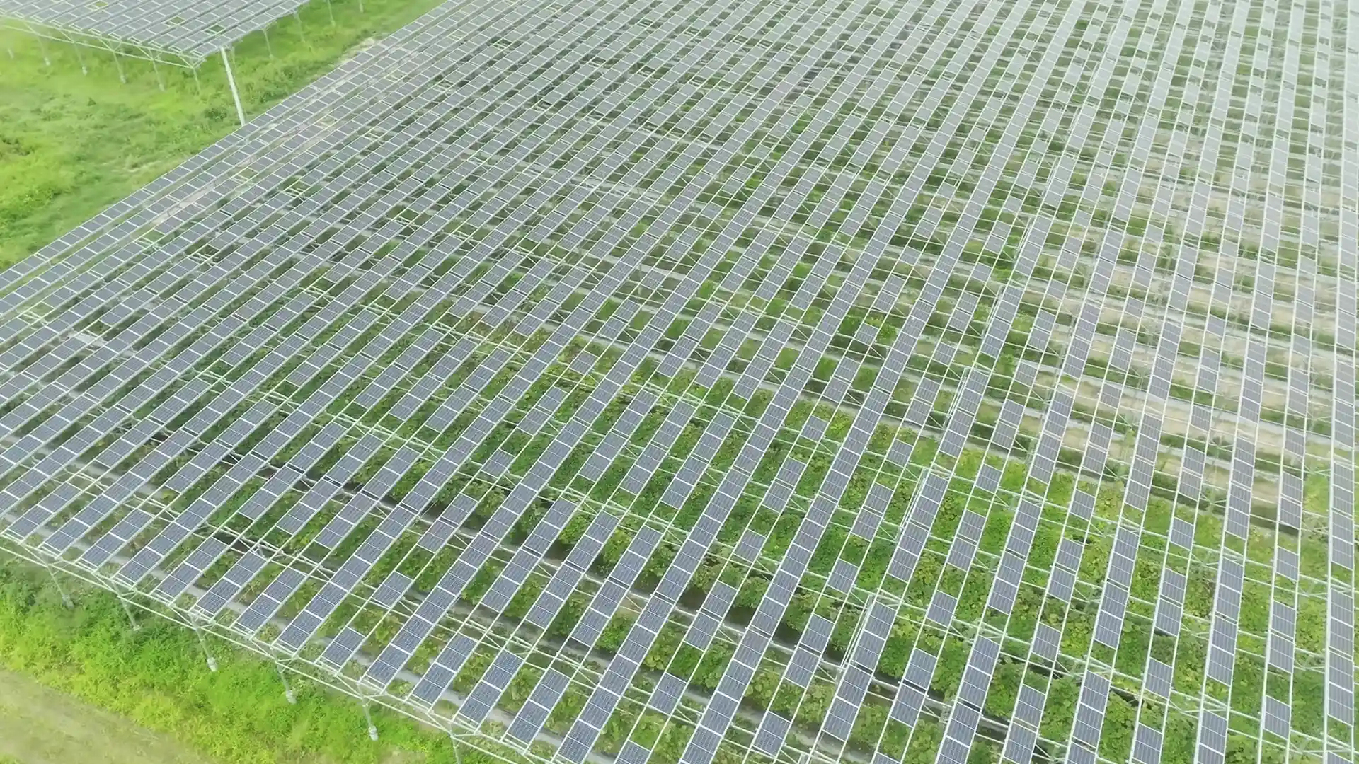 寶晶能源＿全臺首座農電共生示範案場