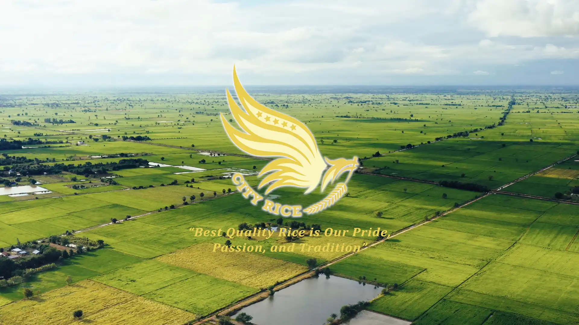 柬埔寨最大米廠｜City Rice 企業形象