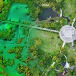 中央公園正射影像 DOM 與 DSM 示意