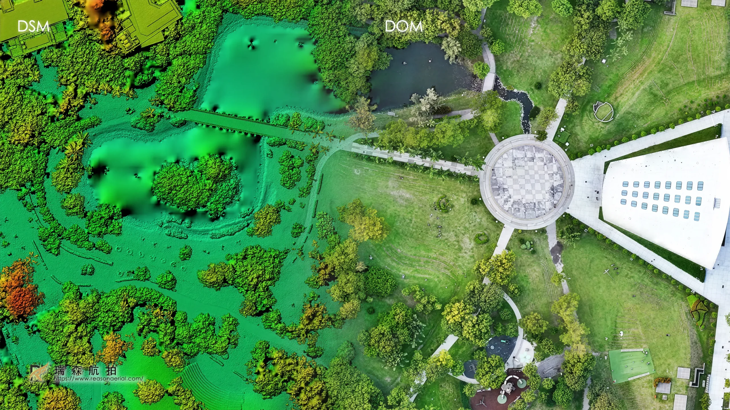 中央公園正射影像 DOM 與 DSM 示意